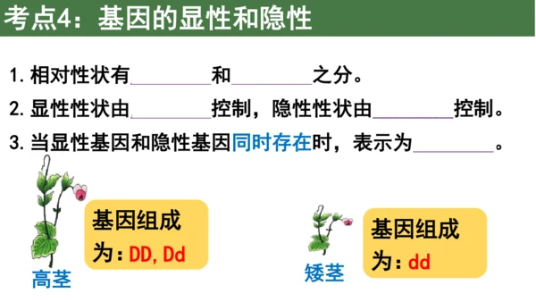 八下 第七单元复习课件(共58张PPT)