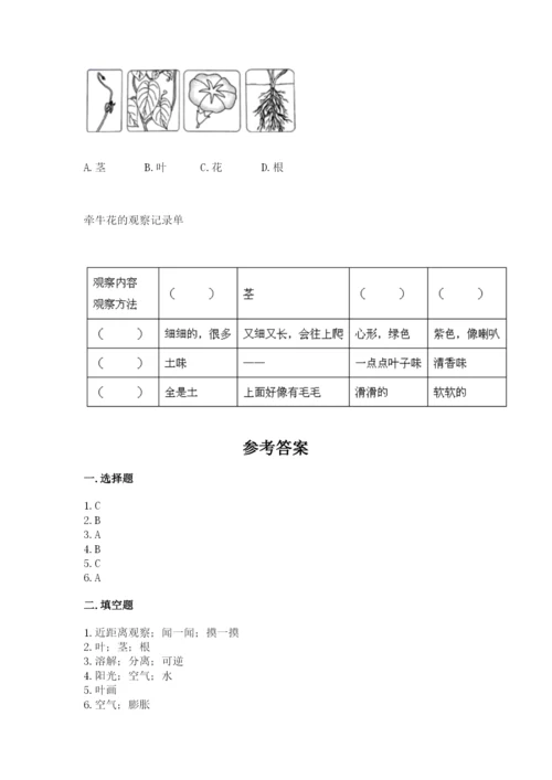 教科版科学一年级上册第一单元《植物》测试卷带答案（能力提升）.docx