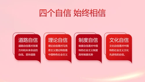 红色党支部党员代表大会工作总结PPT