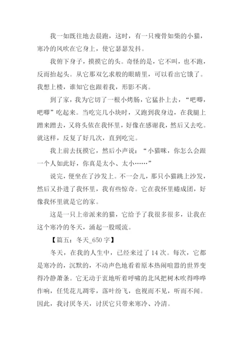 写冬天的作文.docx