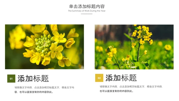 春天乡村旅游油菜花风景油菜花田PPT模板