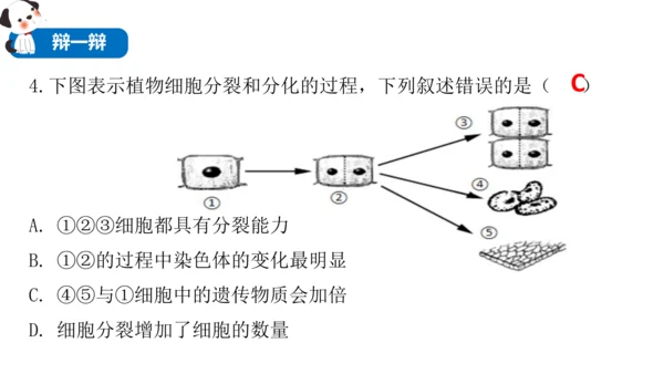 2.2.2 动物体的结构层次-2023-2024学年七年级生物上学期备课课件（人教版）(共26张PP