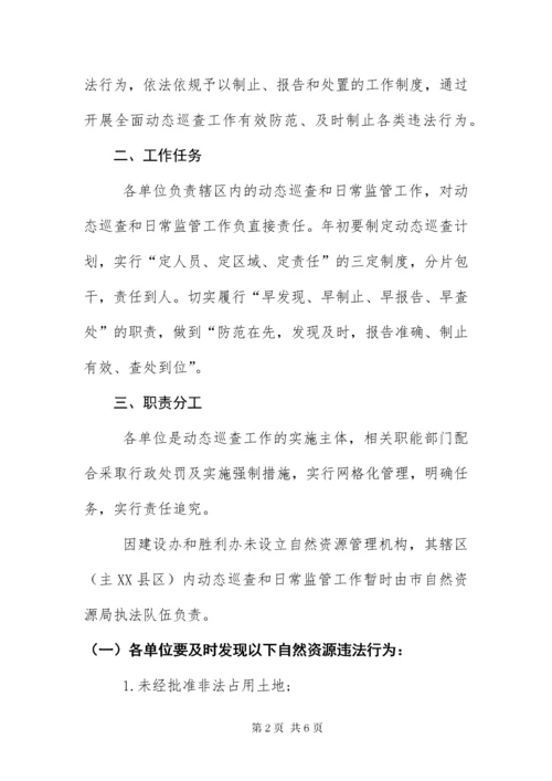 8自然资源执法监察动态巡查工作方案.docx