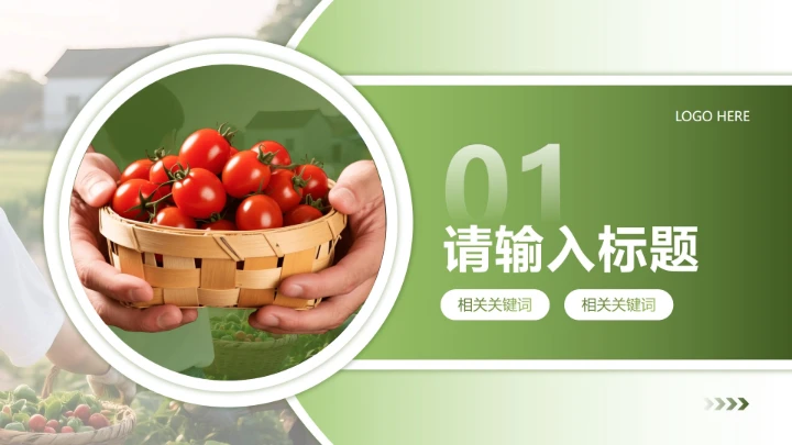 章节页-绿色简约风学生社会实践总结分享PPT单页