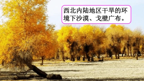 5.0 中国的地理差异（课件30张）-2024-2025学年人教版地理八年级下册