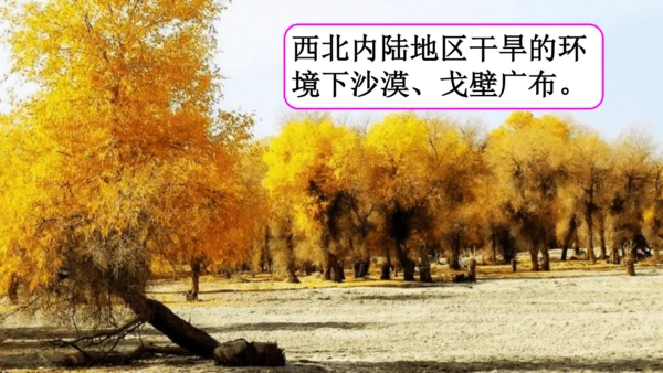 5.0 中国的地理差异（课件30张）-2024-2025学年人教版地理八年级下册
