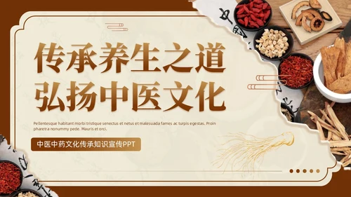 实拍撕纸中国风传承养生之道弘扬中医文化宣传PPT课件