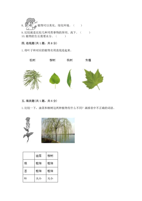 教科版一年级上册科学期末测试卷含精品答案.docx