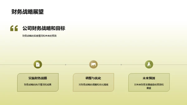 财务解析：20XX年度总结