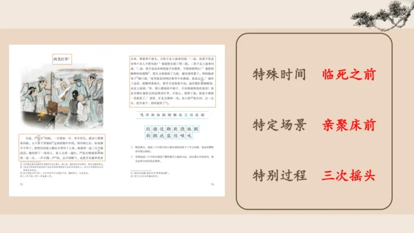 13人物描写一组 《两茎灯草 》公开课课件