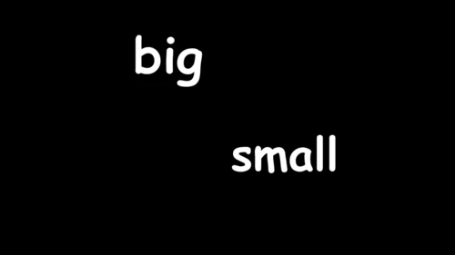 Module 5 Unit 2 It's too big for you 课件(共40张PPT)
