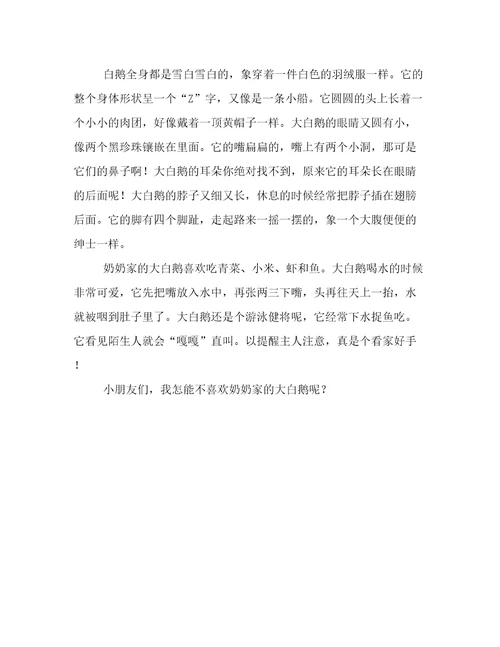 奶奶家的大白鹅的作文