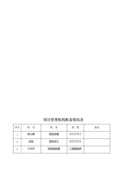 项目质量管理体系.docx