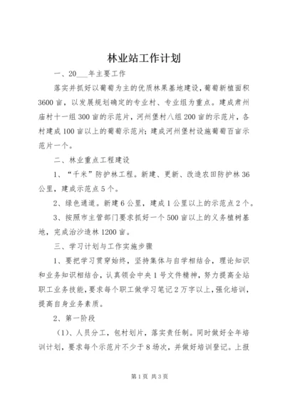 林业站工作计划 (2).docx