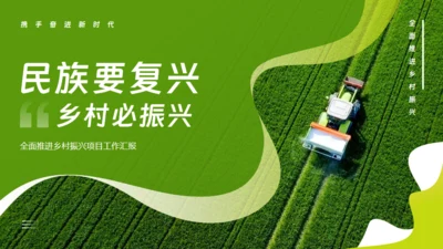 乡村振兴项目工作报告通用PPT模板