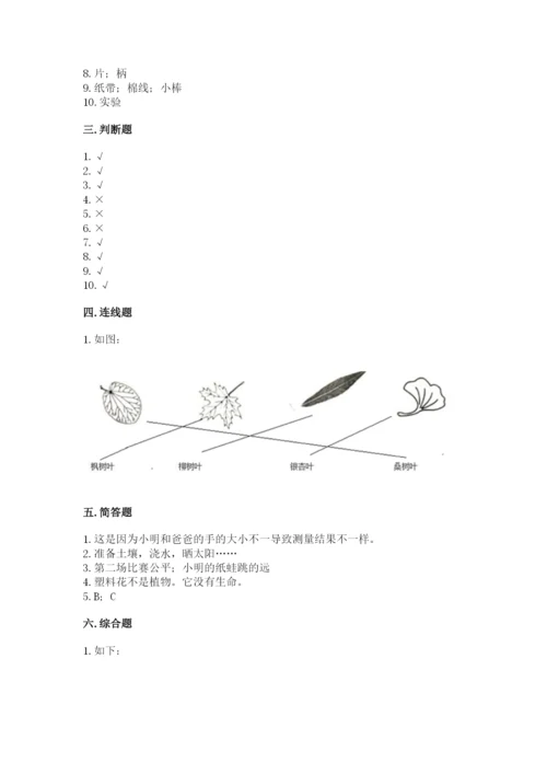 教科版一年级上册科学期末测试卷（典型题）word版.docx