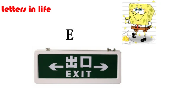 Unit 2 Lesson 3 