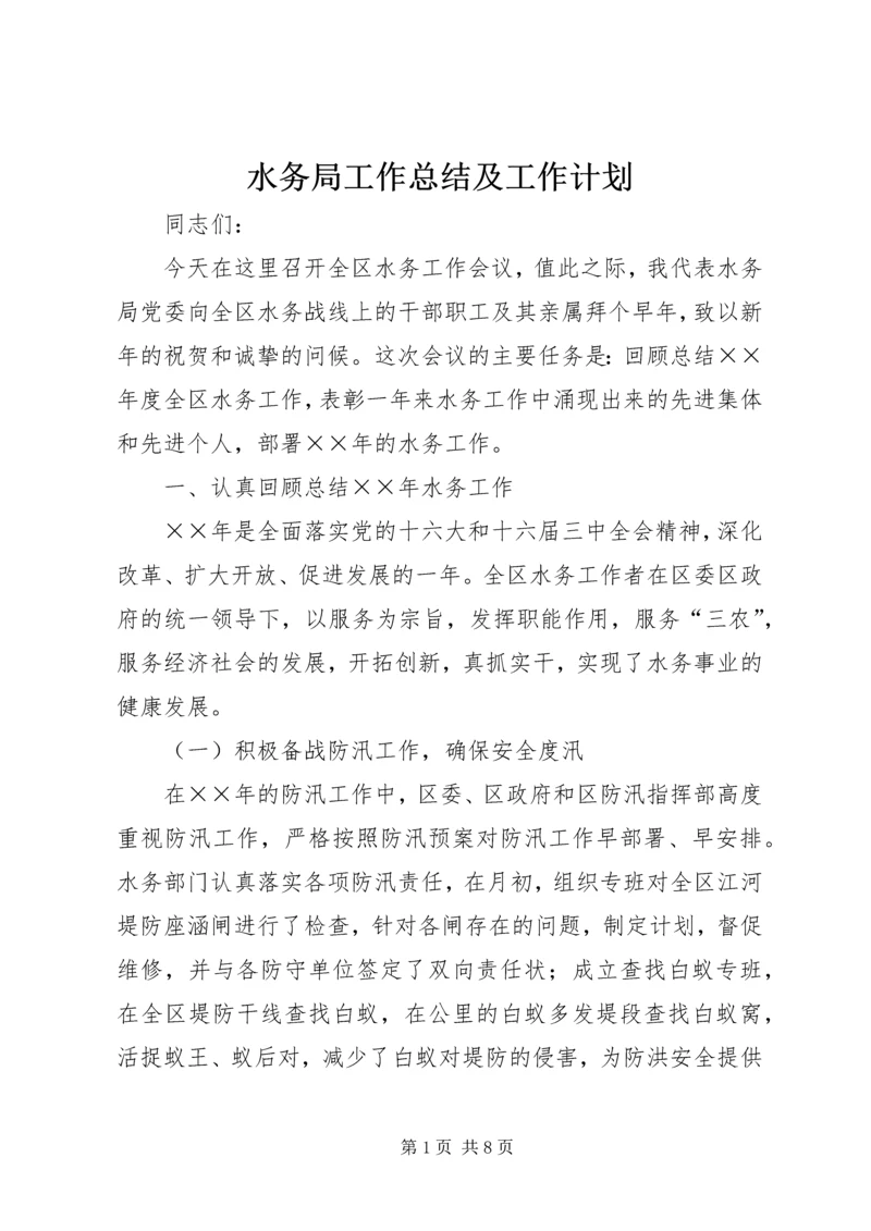 水务局工作总结及工作计划 (2).docx