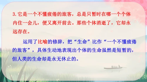16《散文二篇》课件