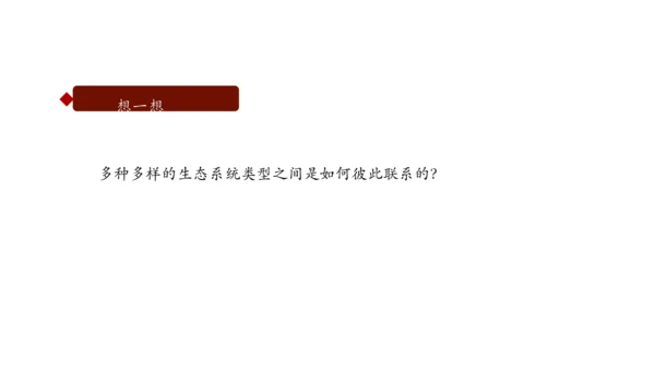 1.2.3 生物圈是最大的生态系统 课件（共28张PPT）