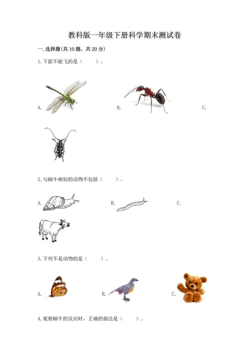 教科版一年级下册科学期末测试卷附参考答案（预热题）.docx