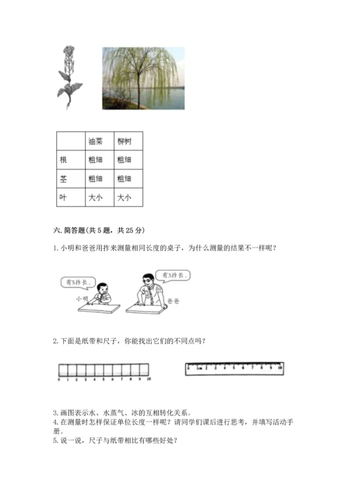 教科版一年级上册科学期末测试卷附答案（夺分金卷）.docx