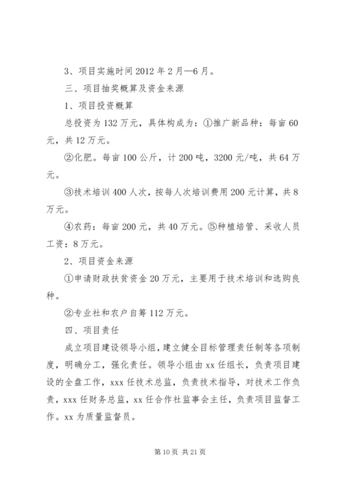 羊街乡蔬菜基地建设项目实施方案_1.docx