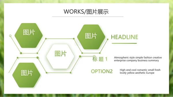 绿色农产品介绍宣传动态PPT模板