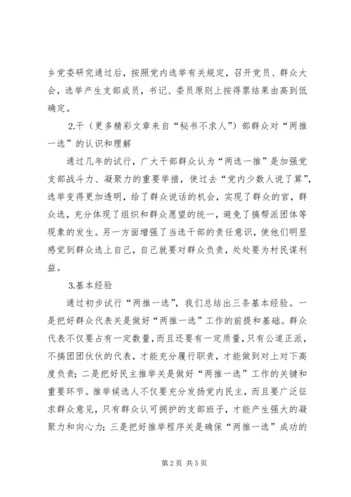 某某乡试行村党支部换届选举“两推一选”情况汇报.docx