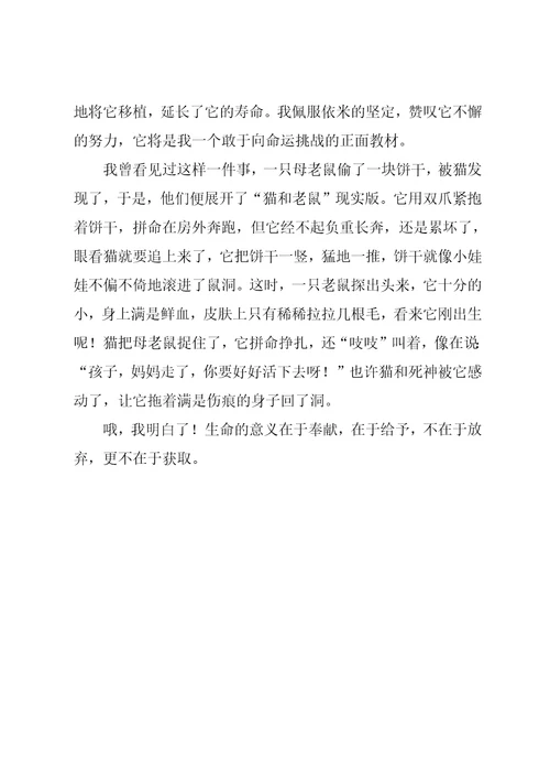 小学生四年级作文生命