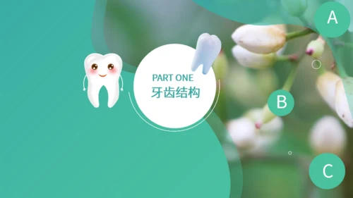 绿色简约国际爱牙日保护牙齿通用PPT模板