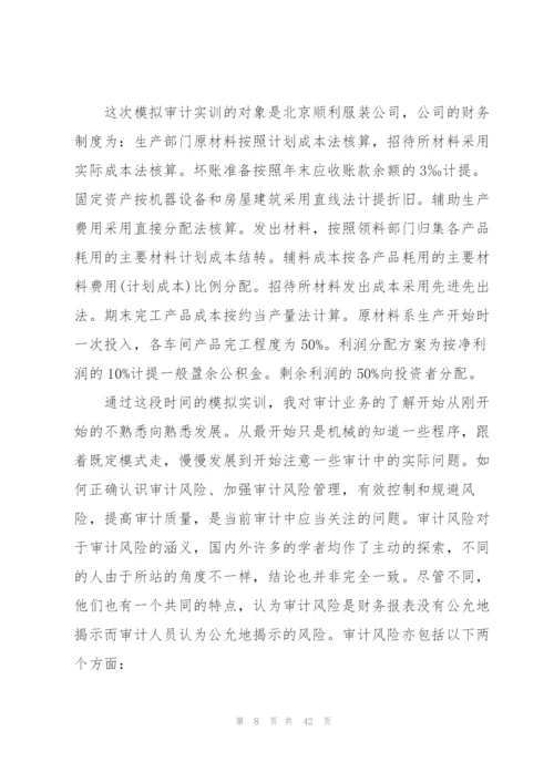 审计程序实训报告体会范本10篇.docx