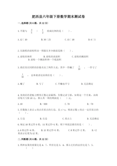 肥西县六年级下册数学期末测试卷（b卷）.docx