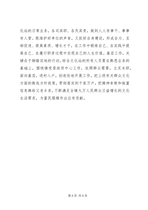 文化站年度工作总结及来年工作计划 (2).docx