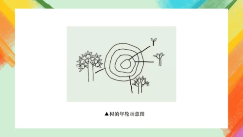 第2课《手绘线条图像——会说话的图画》课件（共26页）