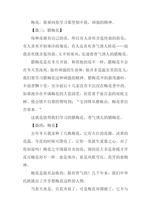 描写梅花的作文300字.docx