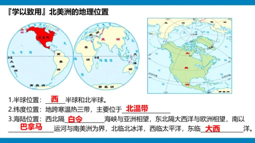 第六章 我们生活的大洲（课件38张）-2023-2024学年七年级地理下册期中复习（人教版）