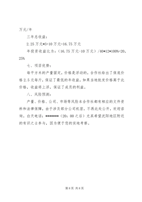 招商引资计划书.docx