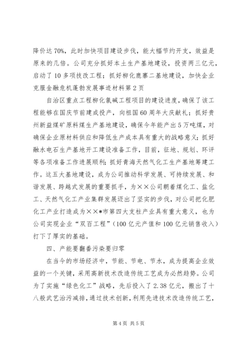 企业克服金融危机蓬勃发展事迹材料.docx
