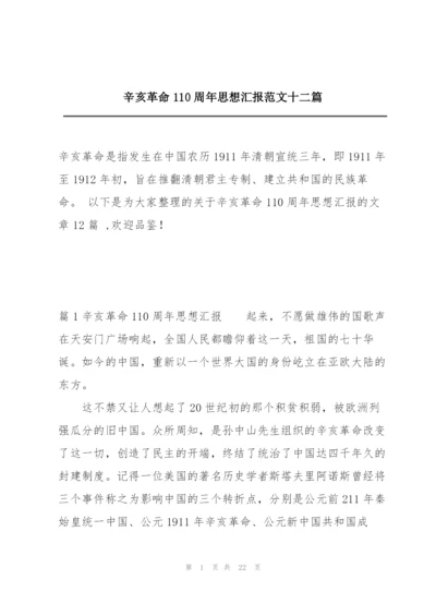 辛亥革命110周年思想汇报范文十二篇.docx