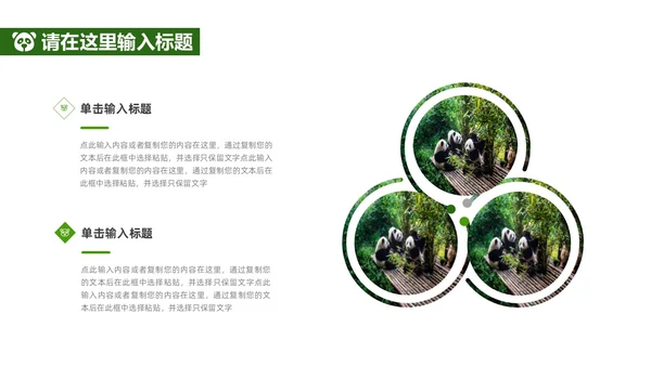 绿色实拍风保护大熊猫科普主题PPT模板