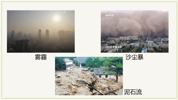 3.6 爱护植被，绿化祖国2023-2024学年七年级生物上学期同步精品课件（人教版）(共21张PP