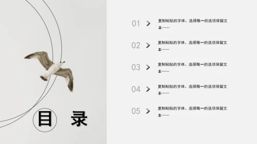 极简设计产品宣传海鸟通用PPT模板
