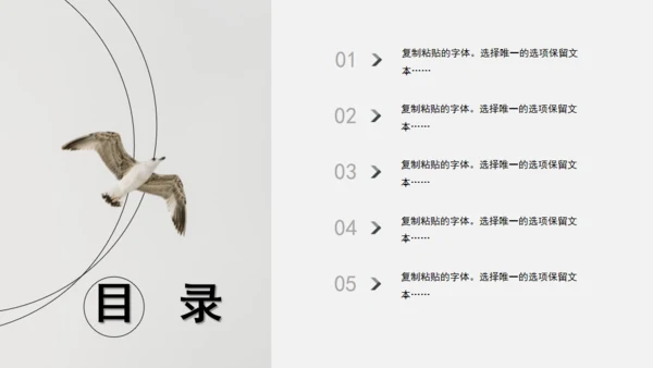 极简设计产品宣传海鸟通用PPT模板