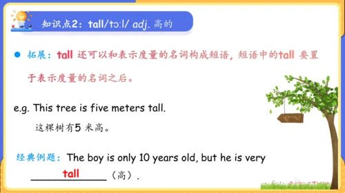 Unit 9 What does he look like单元复习课件（词组+句型+知识点+语法+写