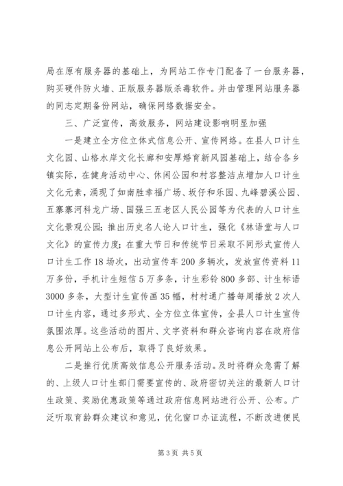 人口计生局网站建设工作总结.docx