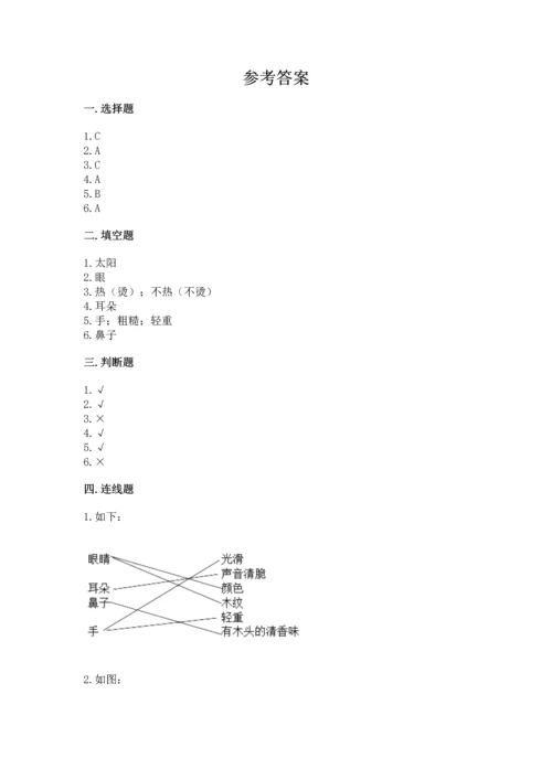 教科版科学二年级上册《期末测试卷》审定版.docx