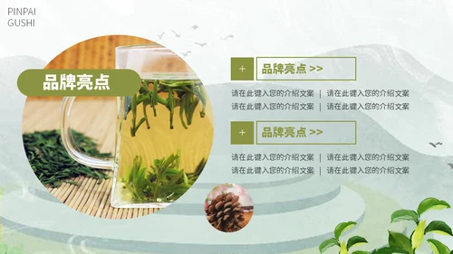茶叶茶庄春茶产品上新介绍手册通用PPT模板
