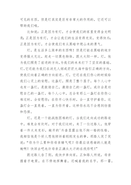 我心中的那盏灯作文800字.docx