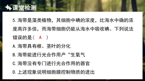 3.1.1 藻类、苔藓和蕨类植物 课件 人教版生物七年级上册(共27张PPT)